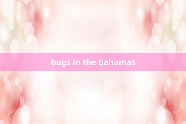 bugs in the bahamas