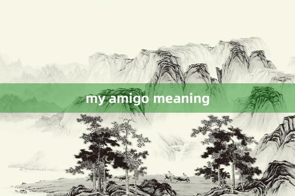 my amigo meaning