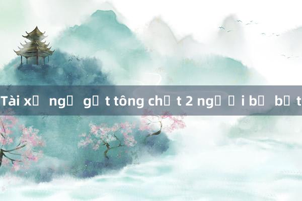 Tài xế ngủ gật tông chết 2 người bị bắt